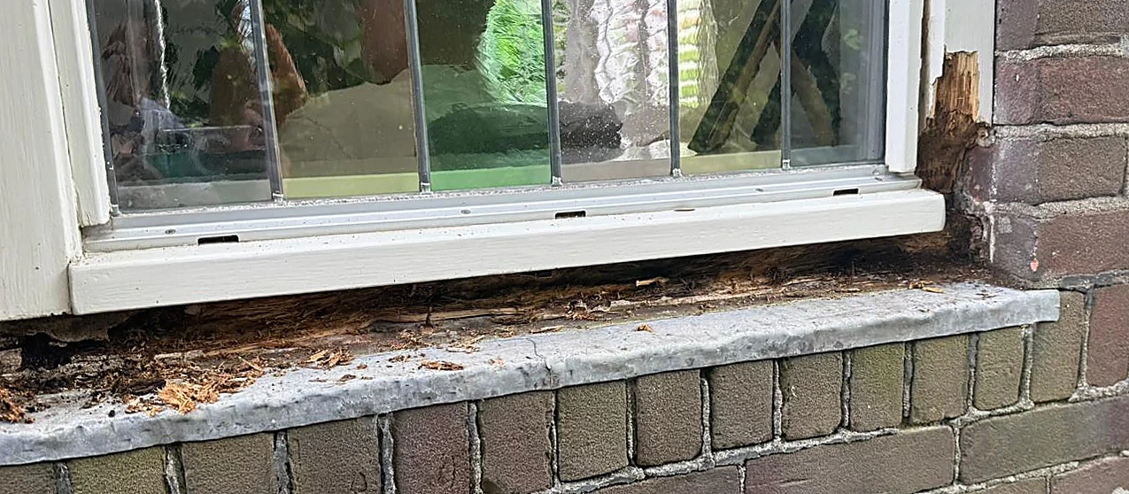 Houtrot in de onderdorpel van een kozijn, vóór herstel